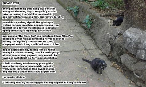 Pusang Itim .